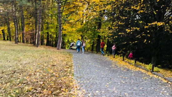 Sofiyivka Park