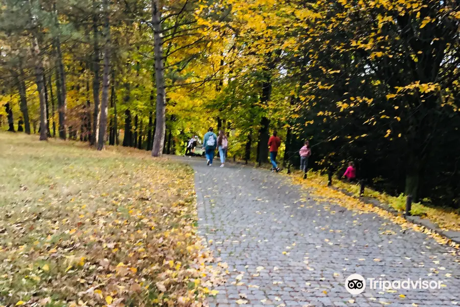 Sofiyivka Park