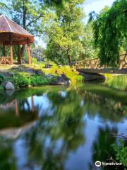 Nicolae Romanescu Park