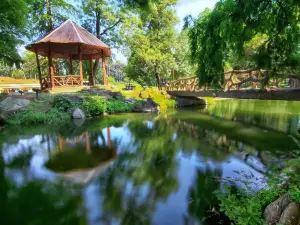 Nicolae Romanescu Park