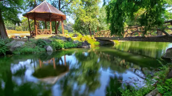 Nicolae Romanescu Park