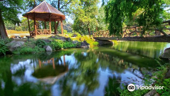 Nicolae Romanescu Park
