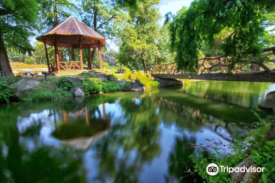 Nicolae Romanescu Park