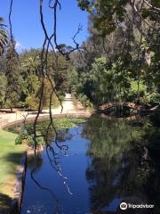 Cactario Jardin Botánico Nacional