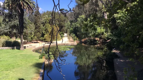 Jardin Botanico Nacional