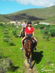 Horse Riding Adventures in Tenerife