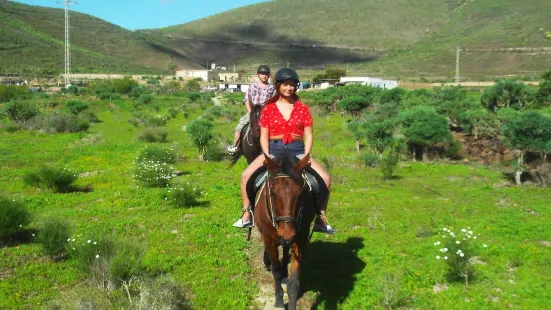 Horse Riding Adventures in Tenerife