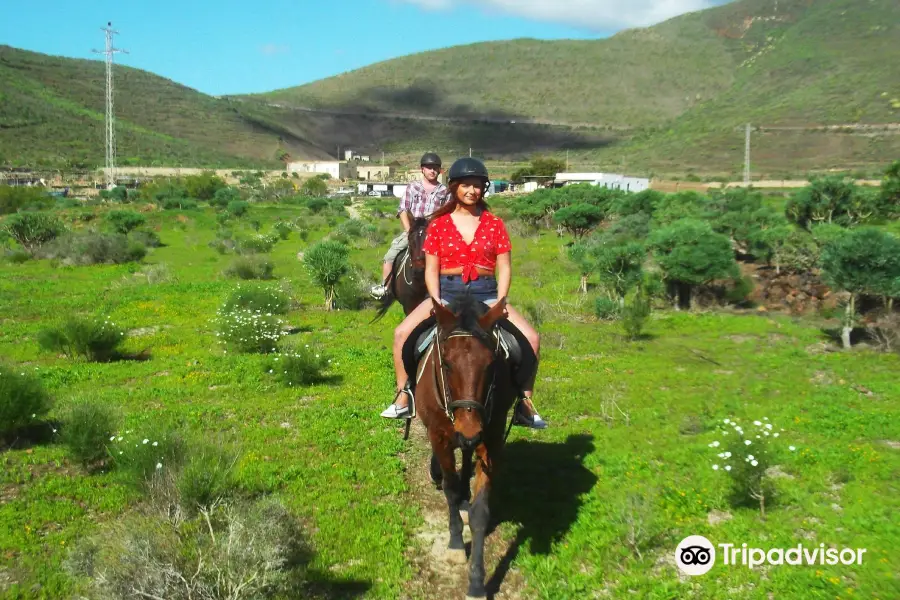 Horse Riding Adventures in Tenerife