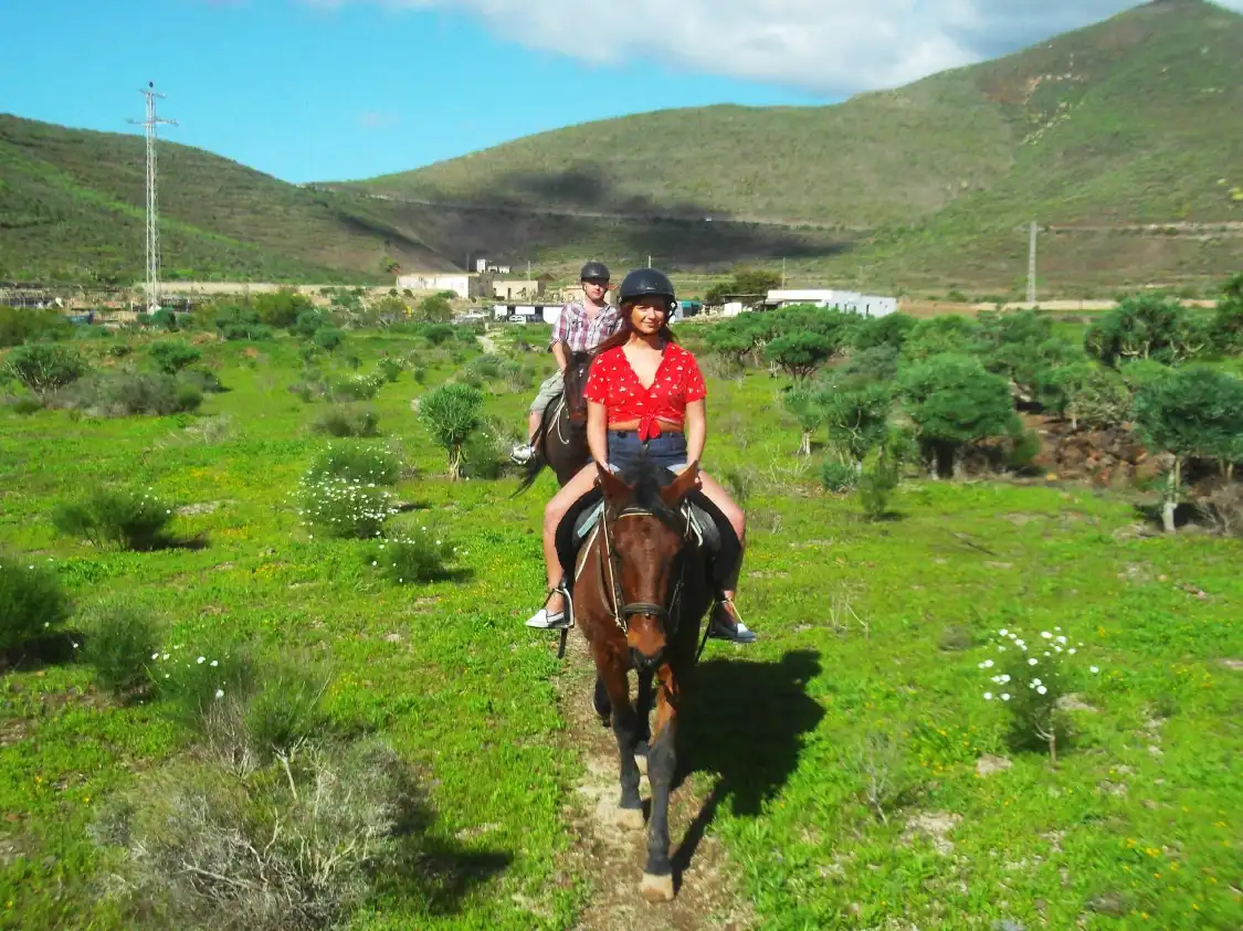 Horse Riding Adventures in Tenerife附近的飯店