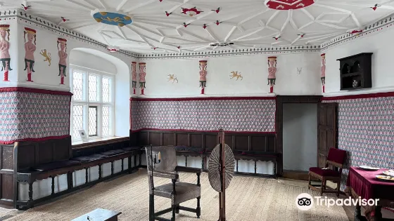 Plas Mawr