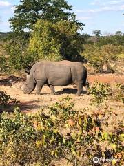 Livingstone Rhino Safaris