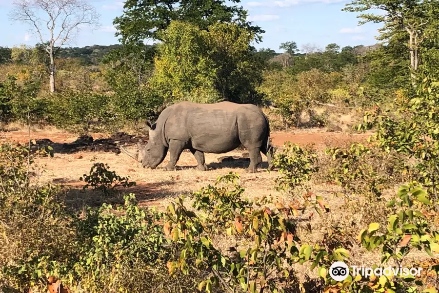 Livingstone Rhino Safaris