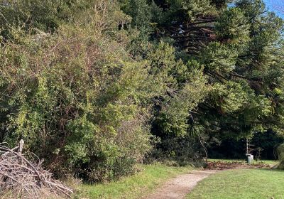 El Jardin Botanico de La Universidad Austral De Chile