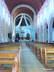 Cathedral of the Immaculate Heart of Mary