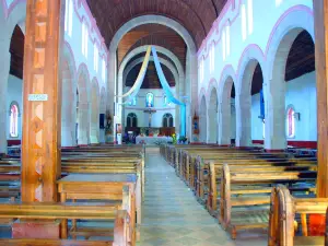 Cathedral of the Immaculate Heart of Mary