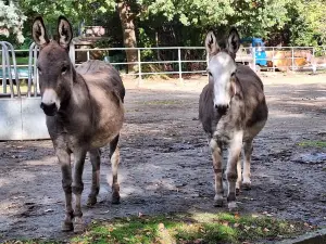 Tierpark Weisswasser