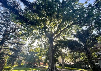 Tunduru Botanical Gardens