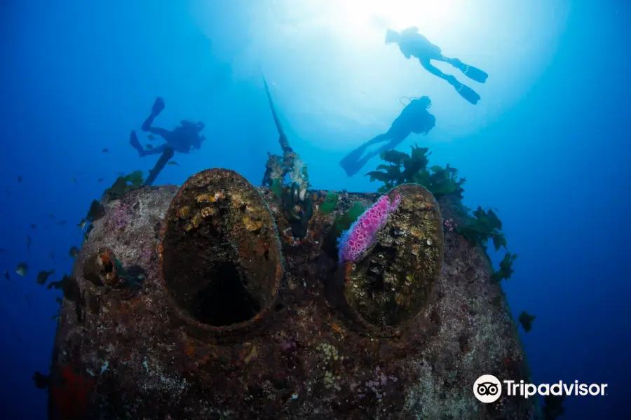 Paihia Dive