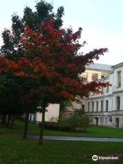 History museum of St. Petersburg Polytechnic University