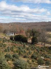 Homestead Farm of Jones Family Farms