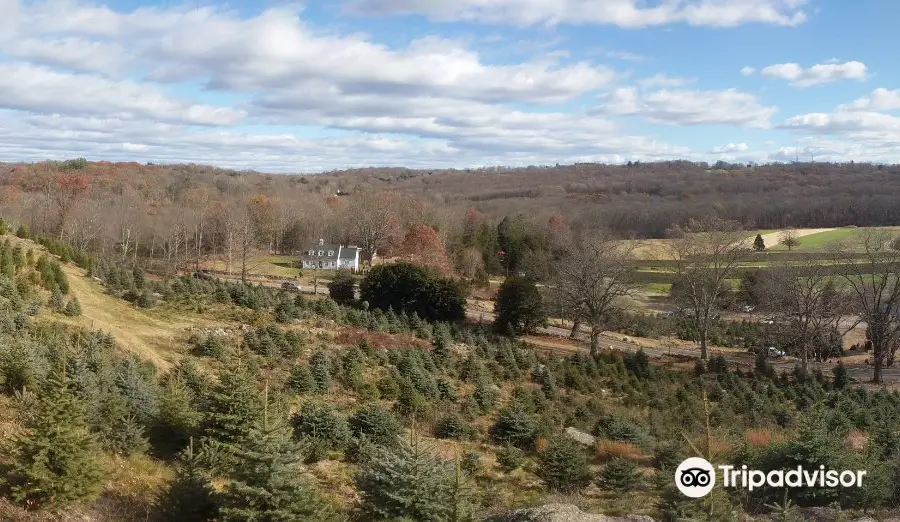 Homestead Farm of Jones Family Farms