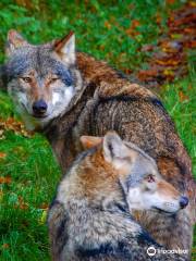 Heimat-Tierpark Olderdissen