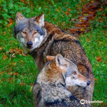 Olderdissen Native Animal Park