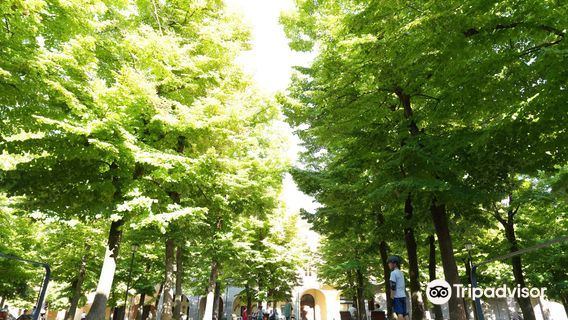 Square Antonio Fontanesi