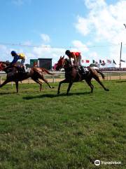 Garrison Savannah - Barbados Turf Club