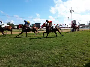 Garrison Savannah - Barbados Turf Club