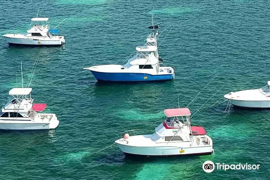 Gone Fishing Punta Cana