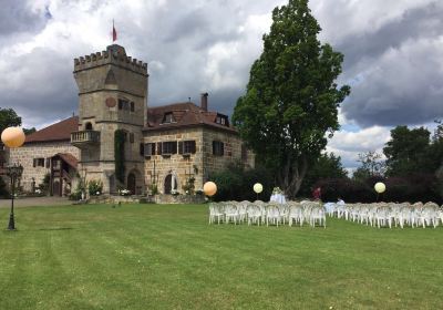 Geyersberg castle