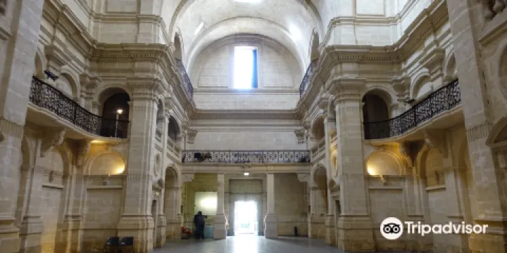 考古與自然歷史博物館