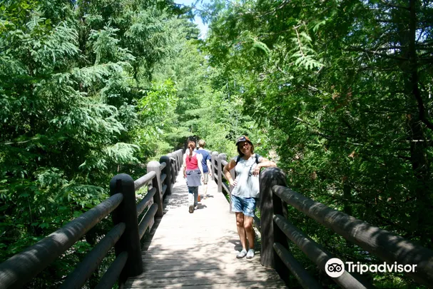 2_Copper Falls State Park