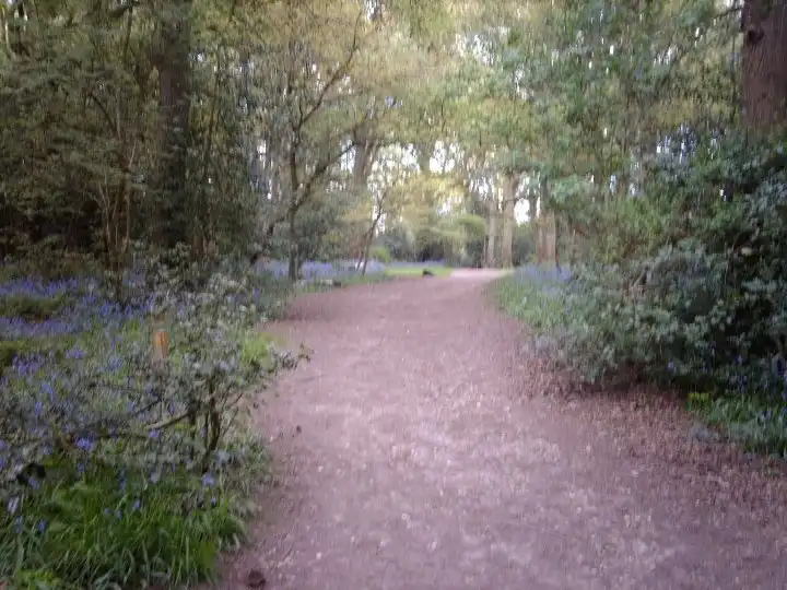 Earlswood