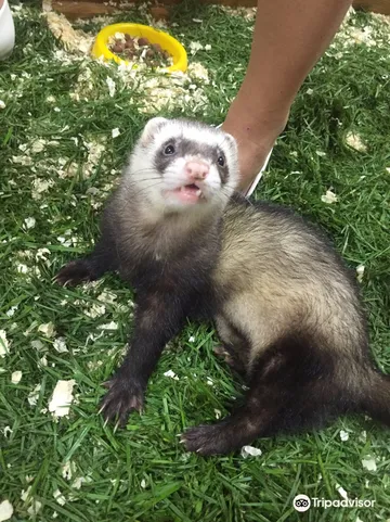 4_Контактный зоопарк УтиПути