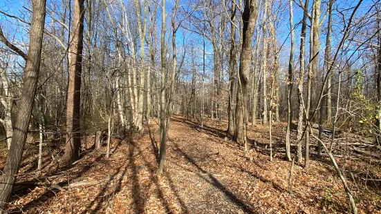 Lake Metroparks Penitentiary Glen Reservation