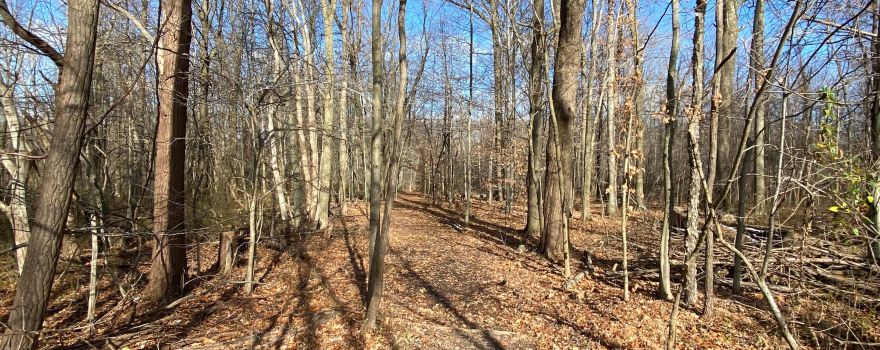 Penitentiary Glen Reservation