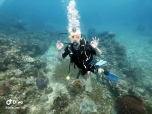 Nautica Plongée Caraibes