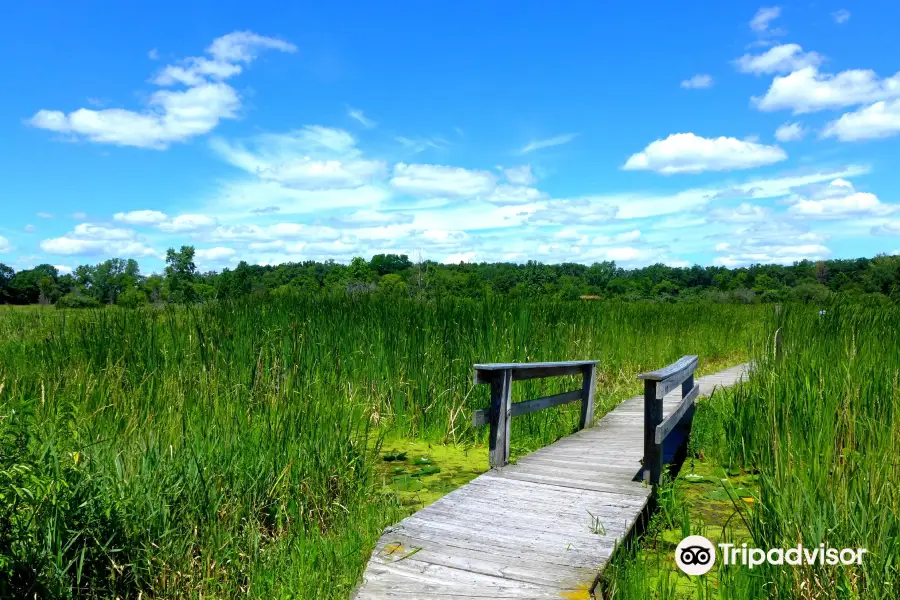 Moraine Hills State Park