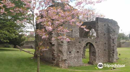 Armagh Friary (State Care Monument)