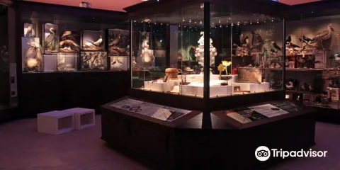 Warrington Museum & Art Gallery