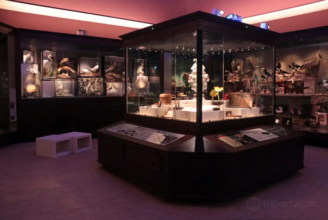 Hotels near Warrington Museum & Art Gallery