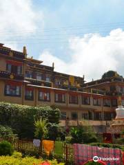 Tibetan Buddhist Monastery, Darjeeling