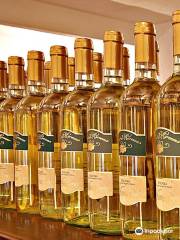 Cellar Wines Of Maremma