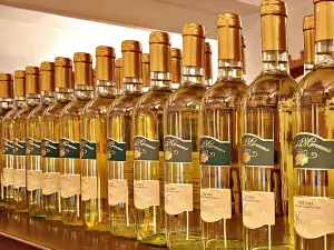 Cellar Wines Of Maremma