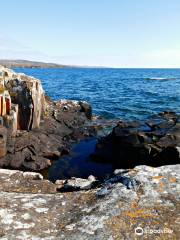 Honeymoon Bluff Trail