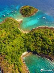 Atlantis Formation, Plongée Guadeloupe