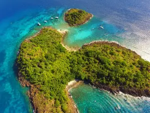 Atlantis Formation, Plongée Guadeloupe