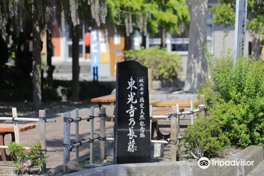 Tokoji Temple